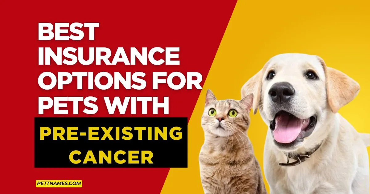 pet insurance for pre existing cancer