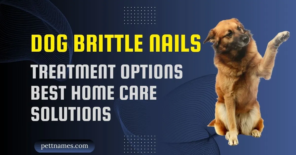 Dog Brittle Nails Treatment Options best Home Care solutions