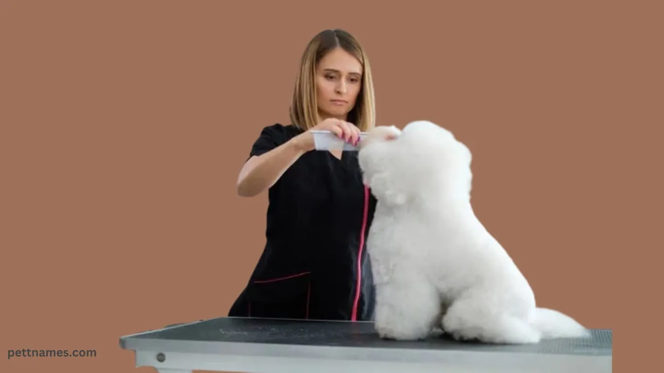 fluffy dog breeds Brushing
