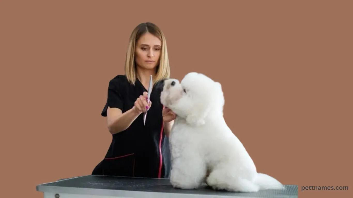 fluffy dog breeds grooming