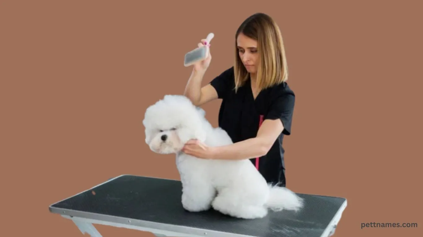 fluffy dog breeds grooming