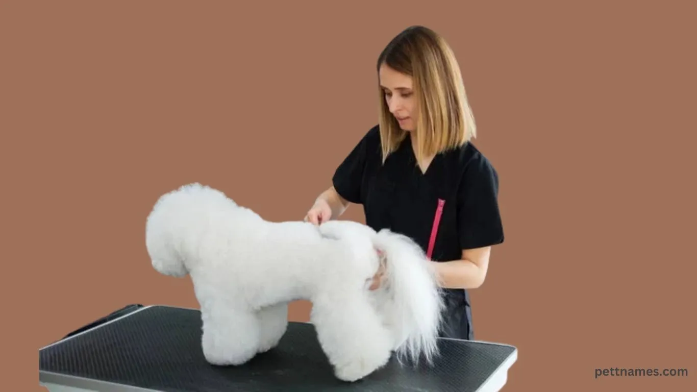 fluffy dog breeds skin 
