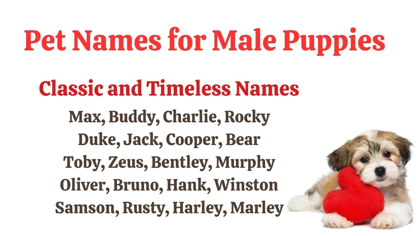 pet names for puppies
