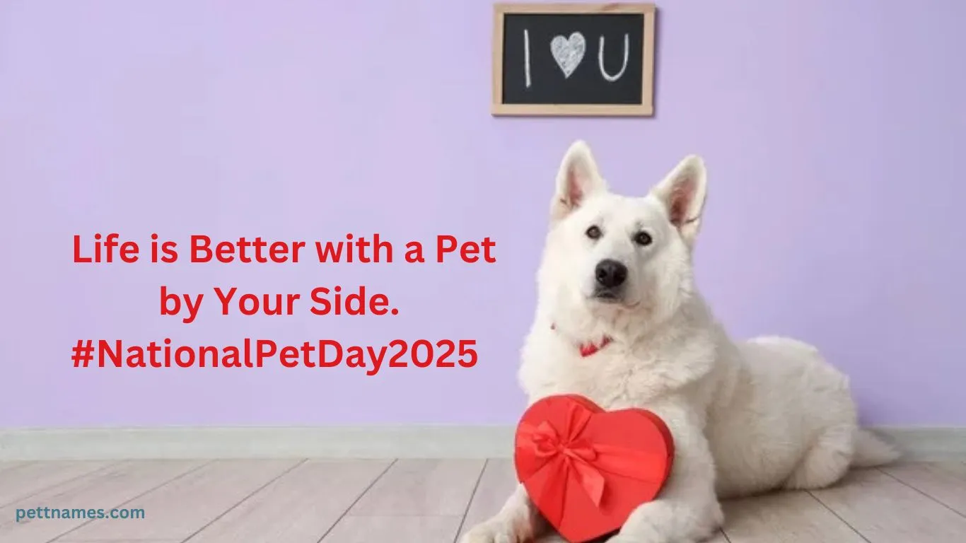 national pet day quotes-2025