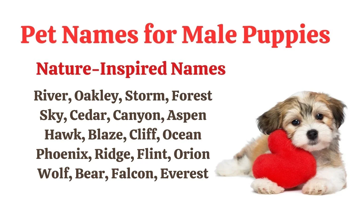 Nature inspired pet names for puppies