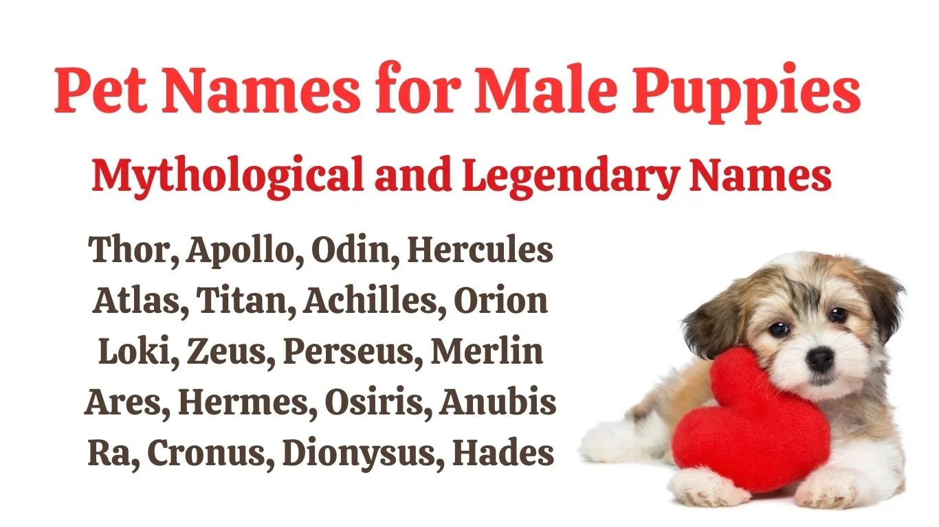 Mythological and Legendary pet names for puppies