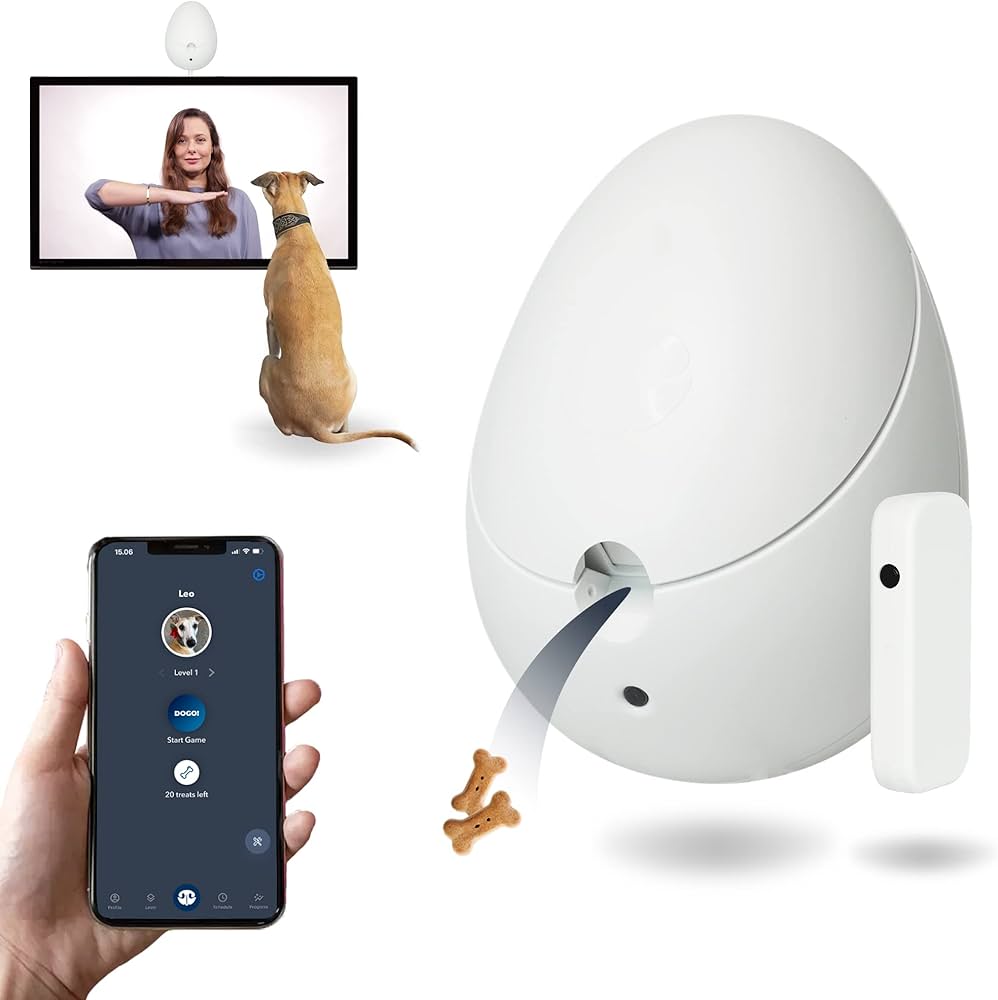 Top 5 AI Tools for Pet Anxiety Relief in 2025: A Guide for Pet Owners 5 Activity Toy with Camera for Dogs & Puppies