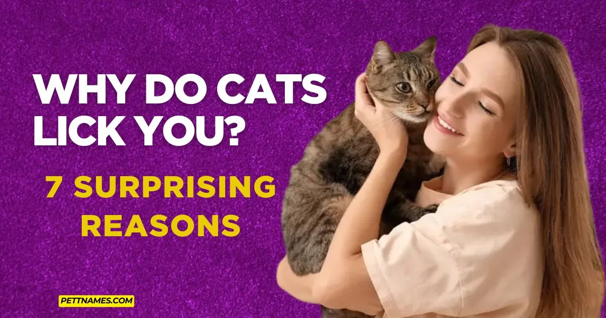 Why Do Cats Lick You? 7 Surprising Reasons